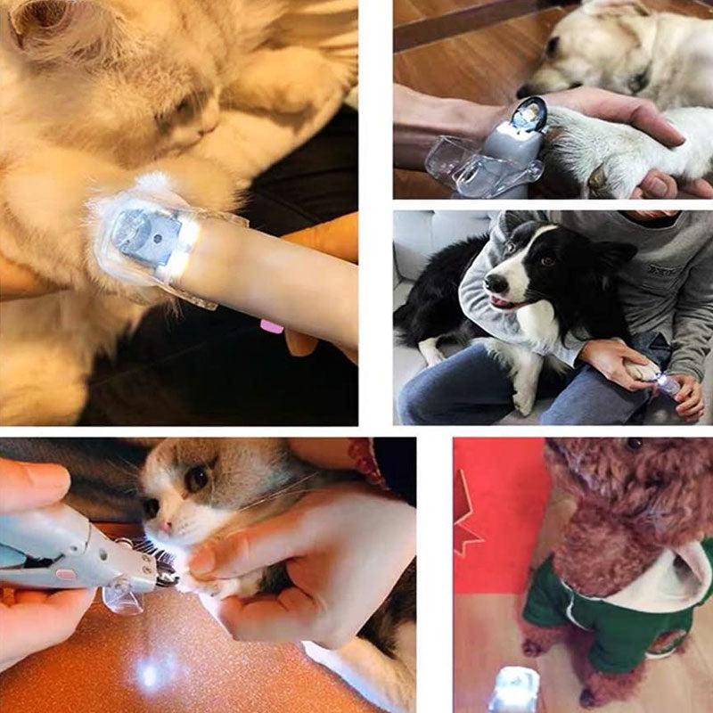 Coupe-griffes pour chien avec détecteur de vaisseau sanguin
