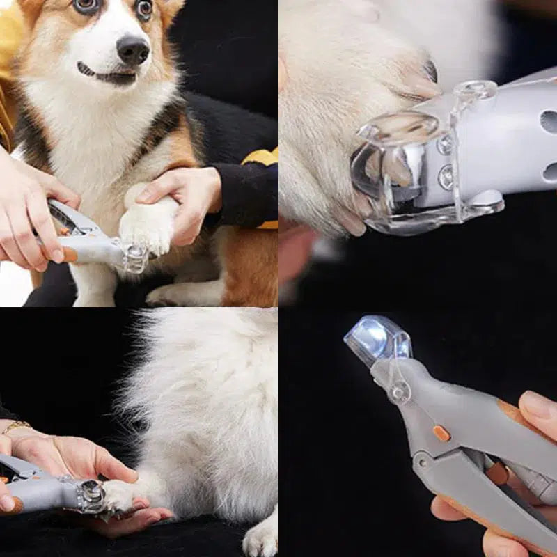 Coupe-griffes pour chien avec détecteur de vaisseau sanguin