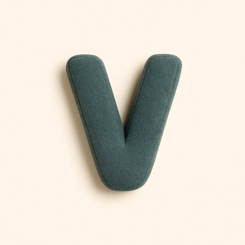 Coussin lettre personnalisée pour canapé