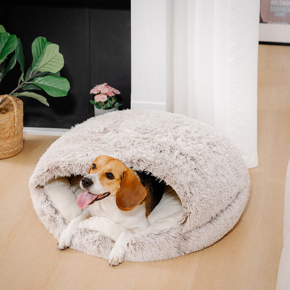 Cozy & Safe Semi-Open Pet Bed Soft Cotton Fabric