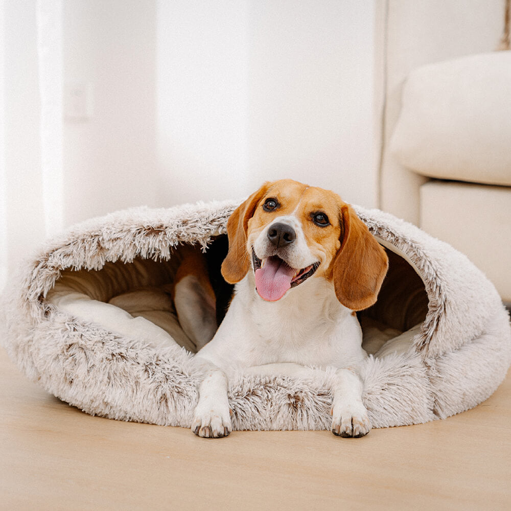 Cozy & Safe Semi-Open Pet Bed Soft Cotton Fabric
