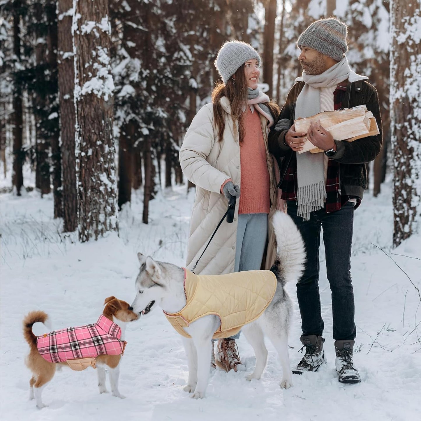 Cozy Waterproof Dog Jacket – Winter Coat in British Style