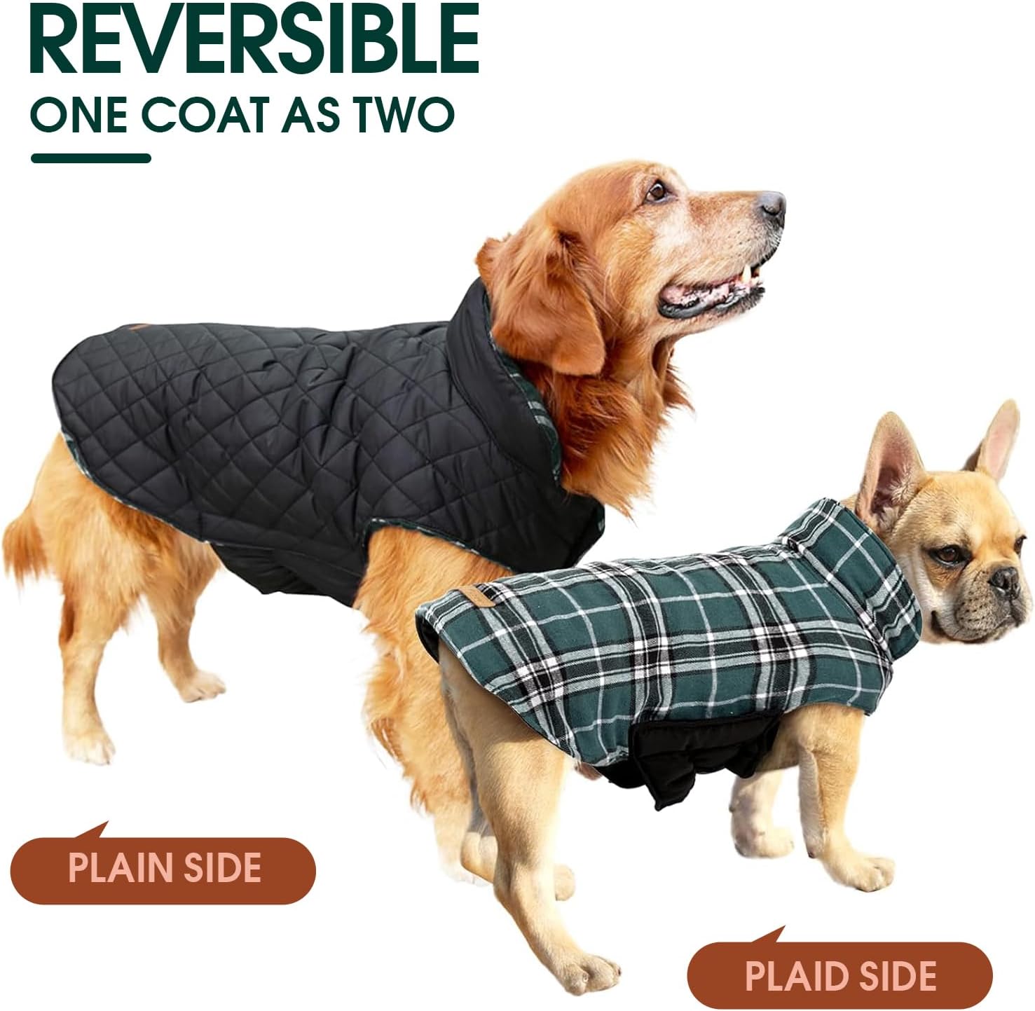 Cozy Waterproof Dog Jacket – Winter Coat in British Style