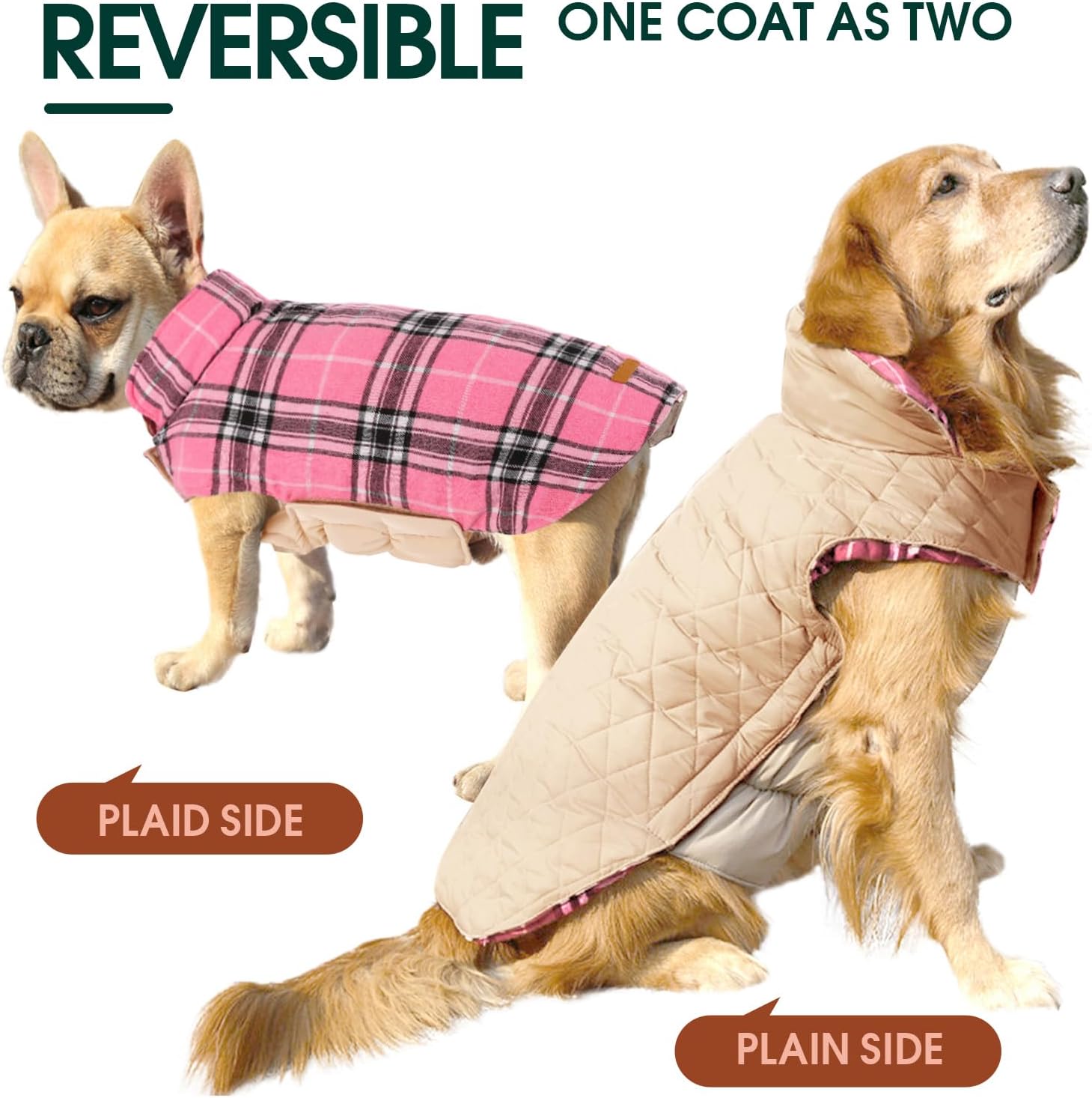 Cozy Waterproof Dog Jacket – Winter Coat in British Style