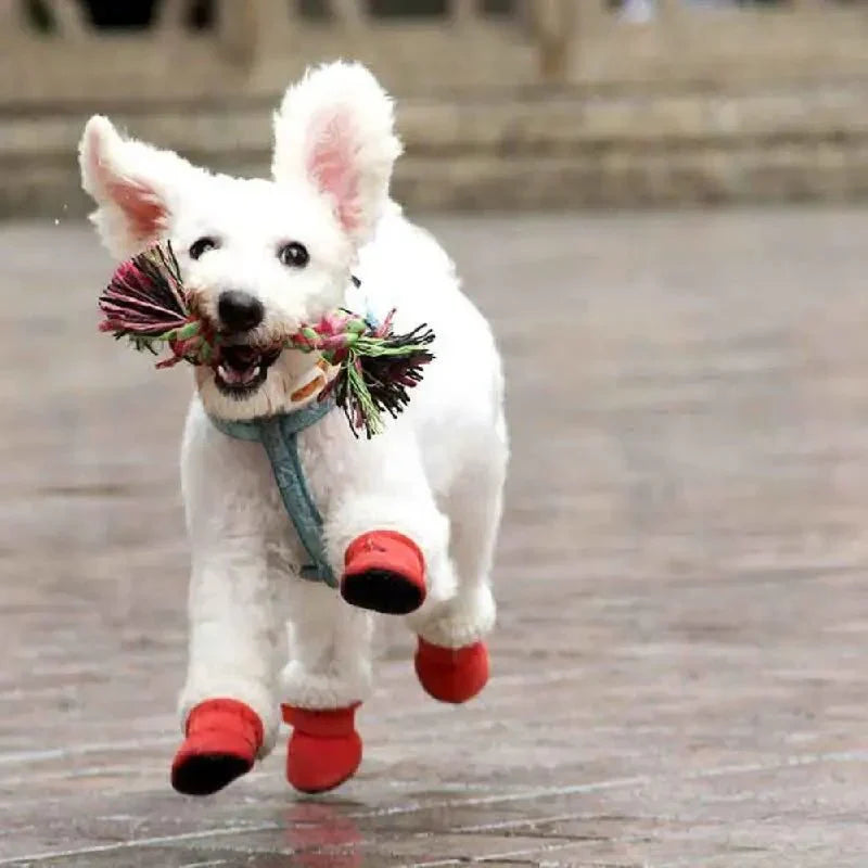 CozyPaws • Dog Waterproof Boots