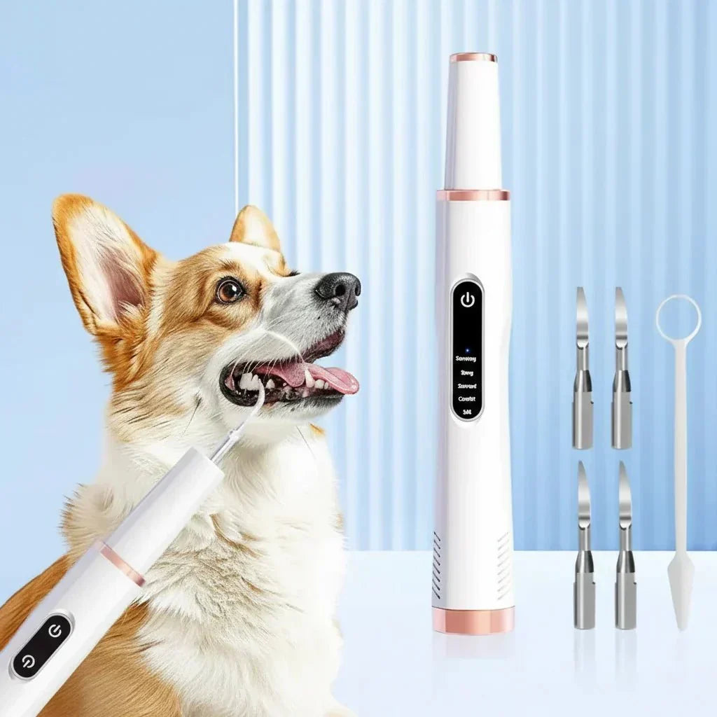 Détartreur dentaire à ultrasons pour animaux de compagnie