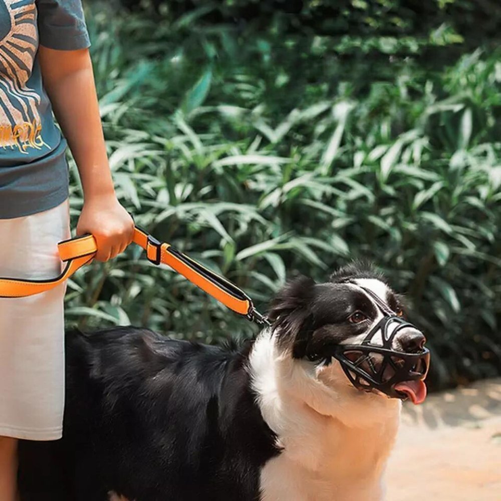 DOGORA – Gentle Dog Muzzle for Safe Everyday Situations
