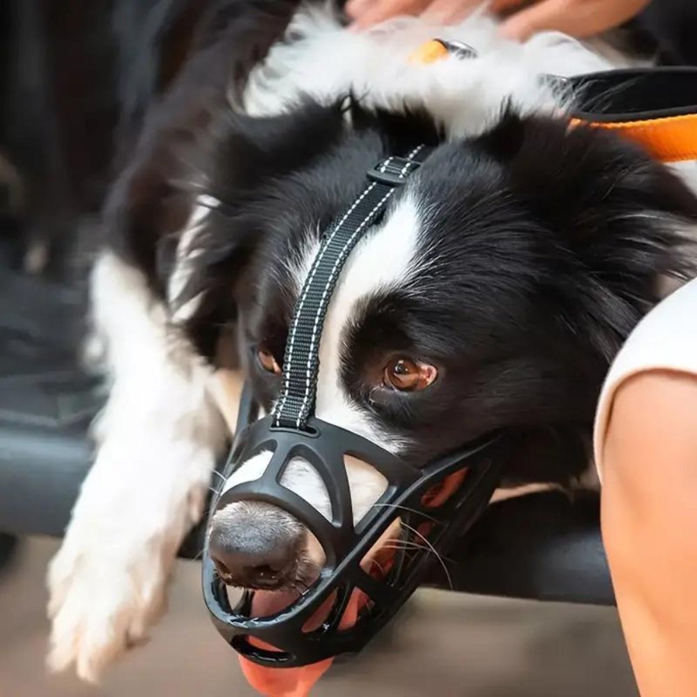 DOGORA – Gentle Dog Muzzle for Safe Everyday Situations