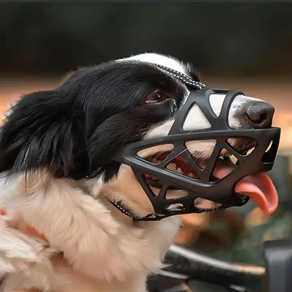DOGORA – Gentle Dog Muzzle for Safe Everyday Situations