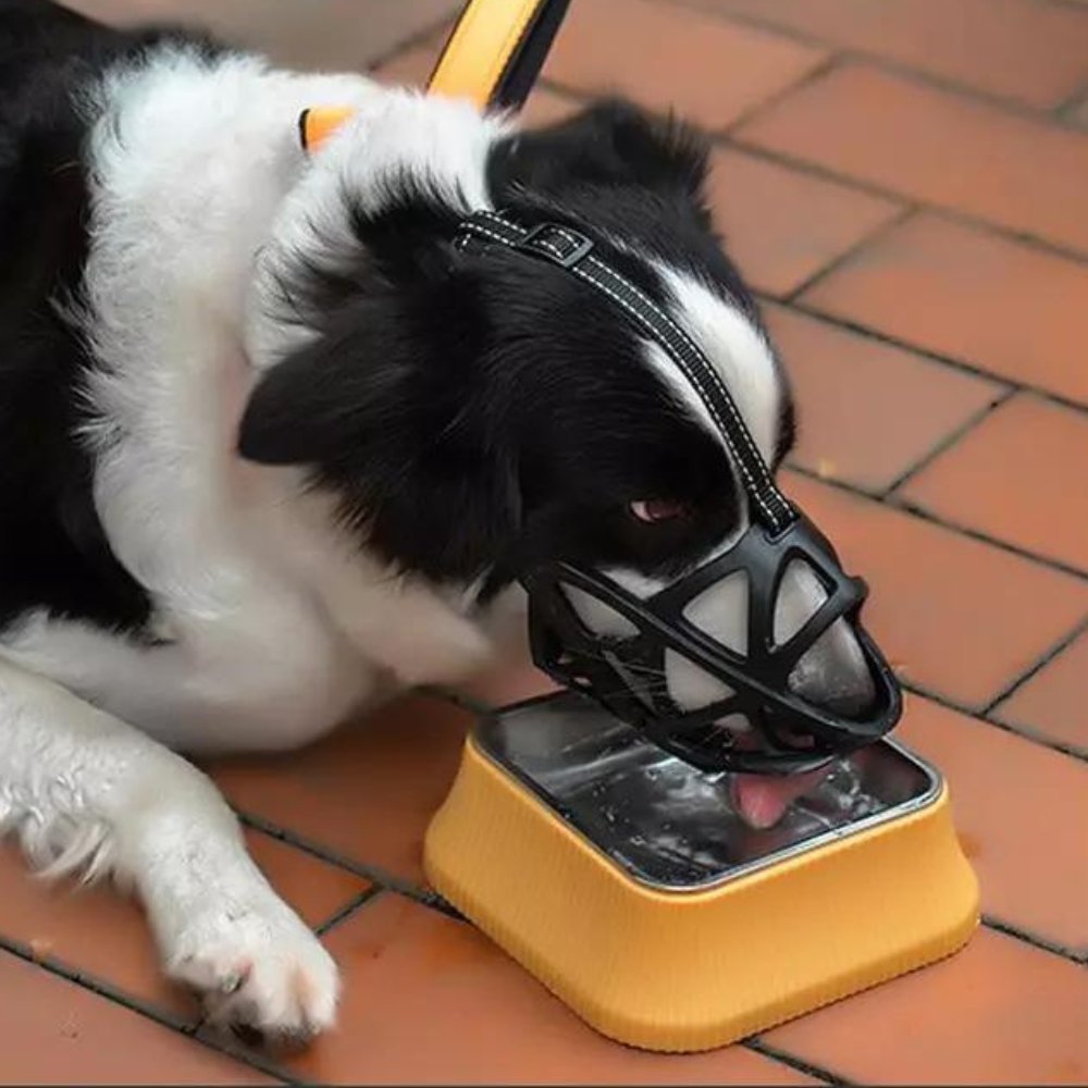 DOGORA – Gentle Dog Muzzle for Safe Everyday Situations
