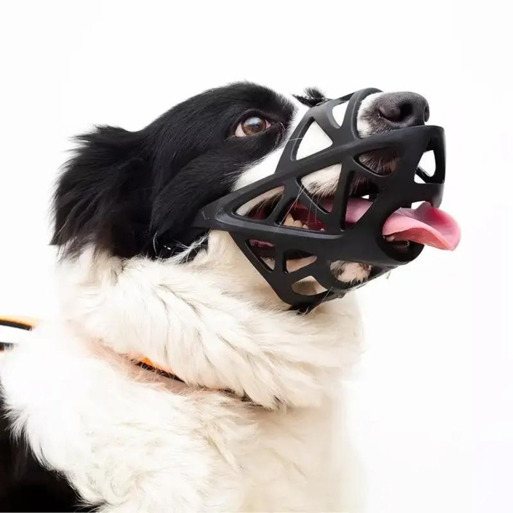 DOGORA – Gentle Dog Muzzle for Safe Everyday Situations