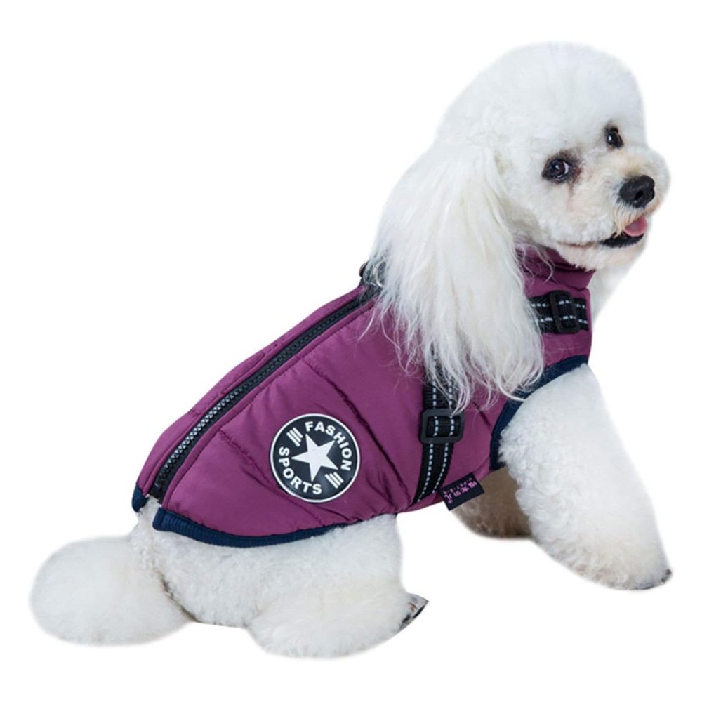 DryPaw • Waterproof Dog Coat
