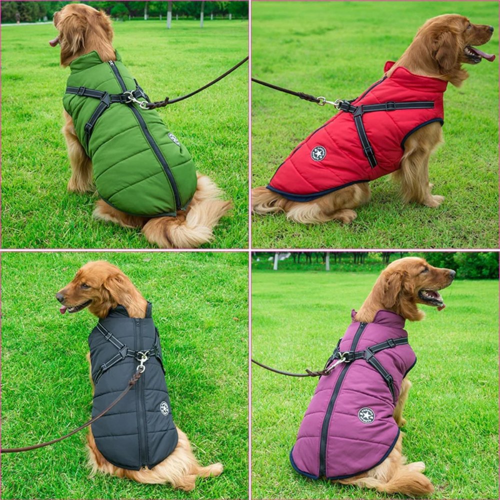 DryPaw • Waterproof Dog Coat