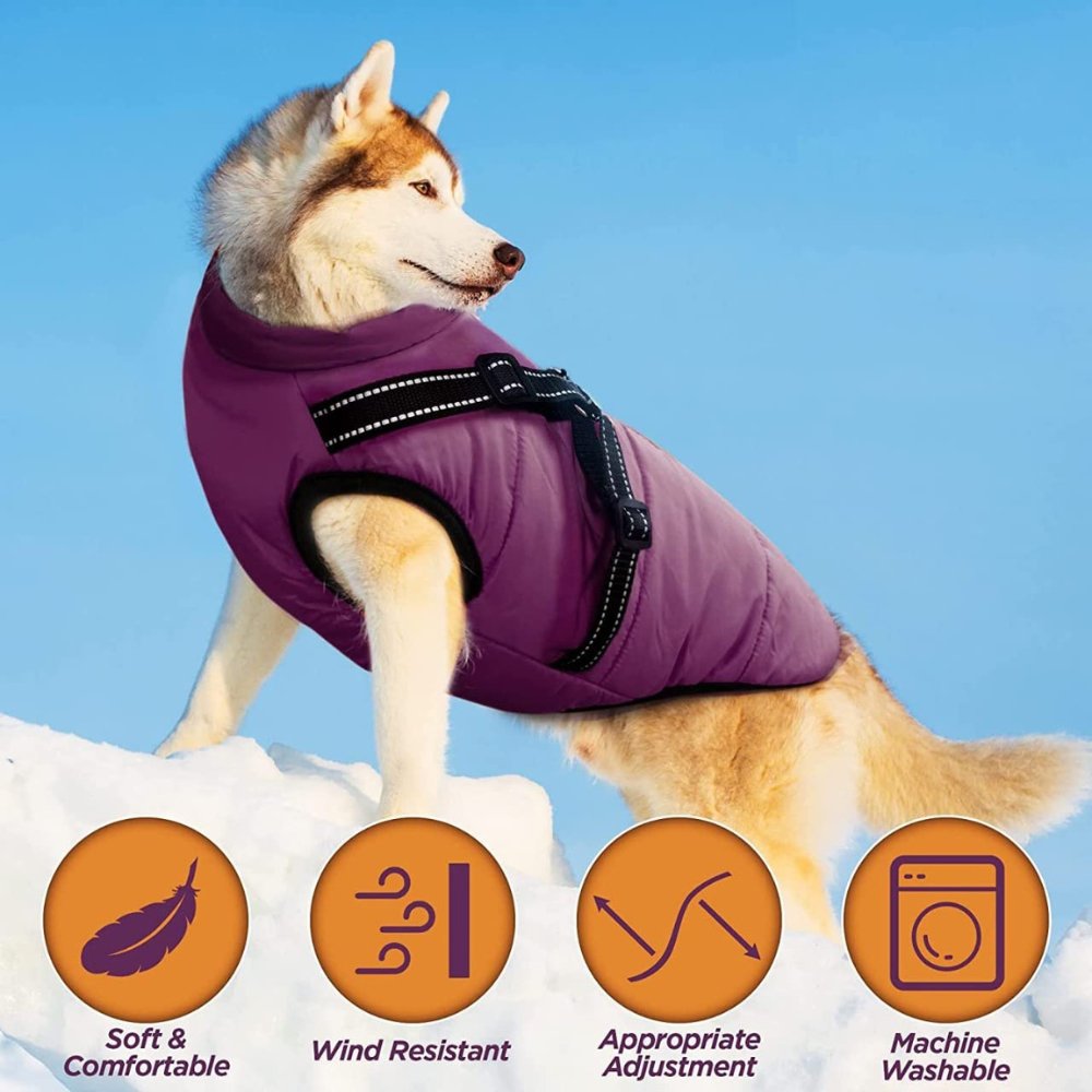 DryPaw • Waterproof Dog Coat