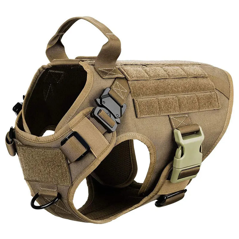 Durable Set for Active Dogs