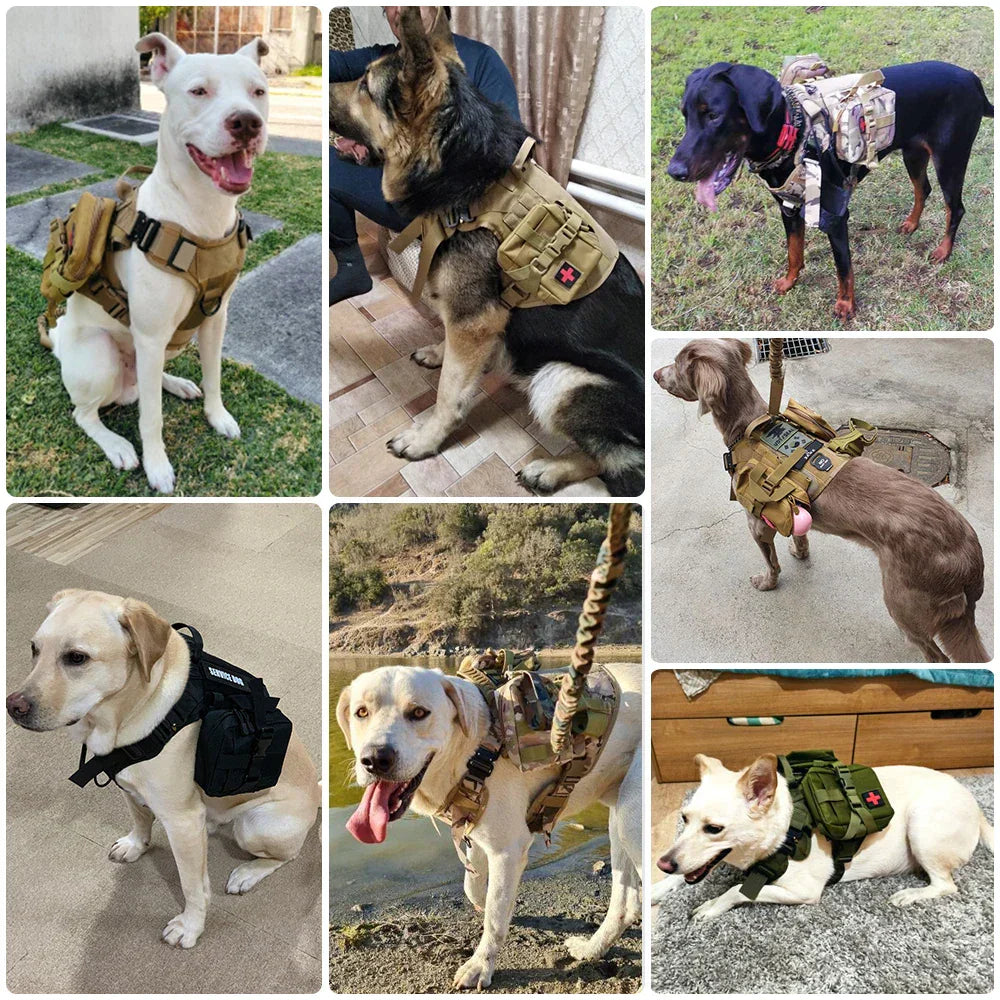 Durable Set for Active Dogs