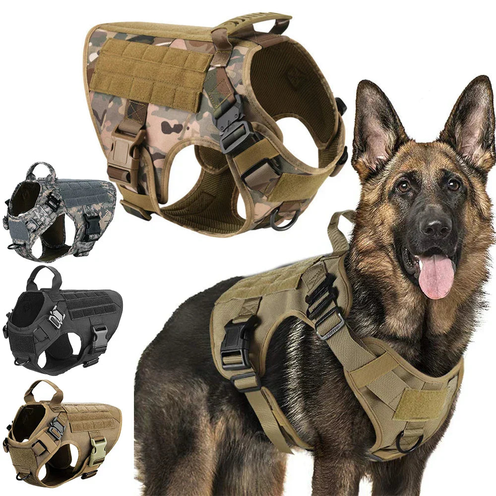 Durable Set for Active Dogs