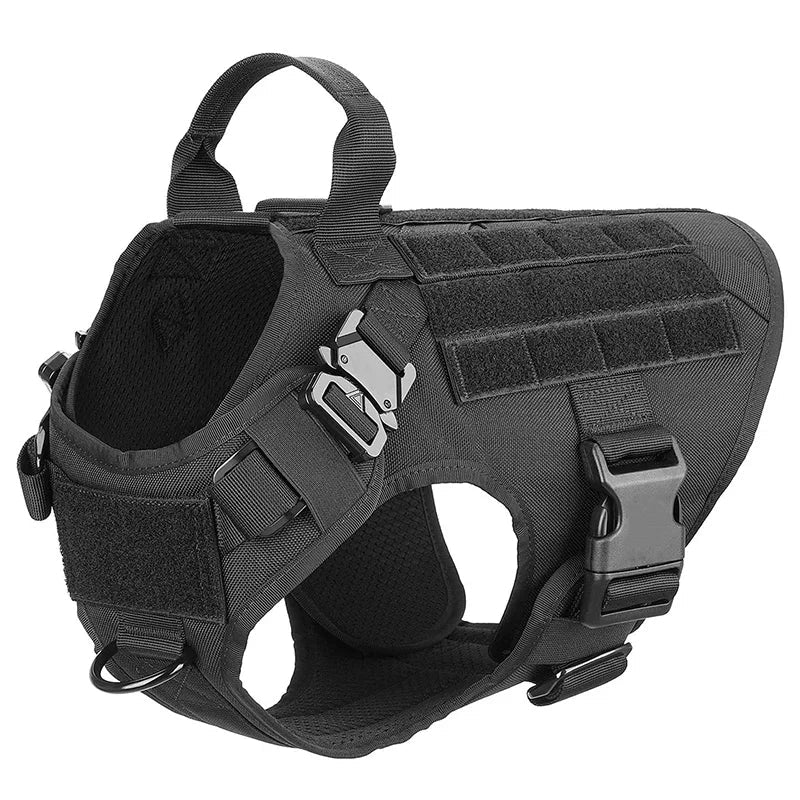 Durable Set for Active Dogs