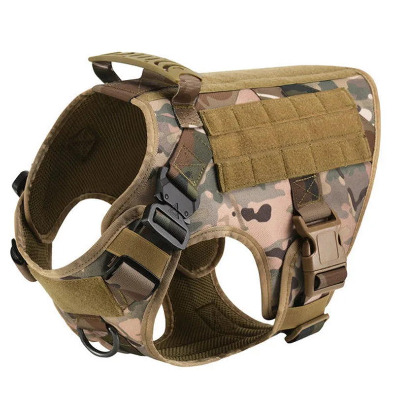 Durable Set for Active Dogs