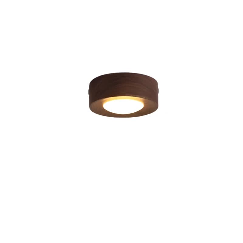 EMBERLED – Energy-saving Walnut Light Solution