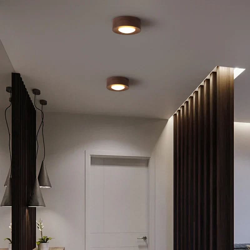 EMBERLED – Energy-saving Walnut Light Solution