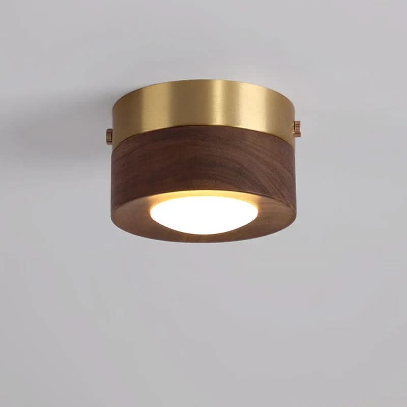 EMBERLED – Energy-saving Walnut Light Solution