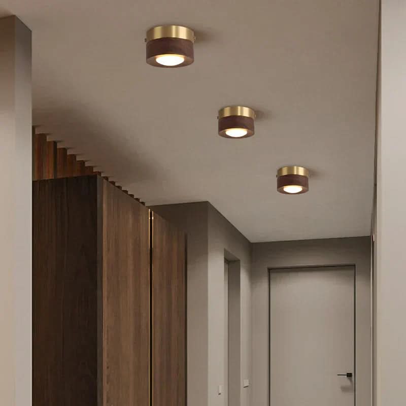 EMBERLED – Energy-saving Walnut Light Solution