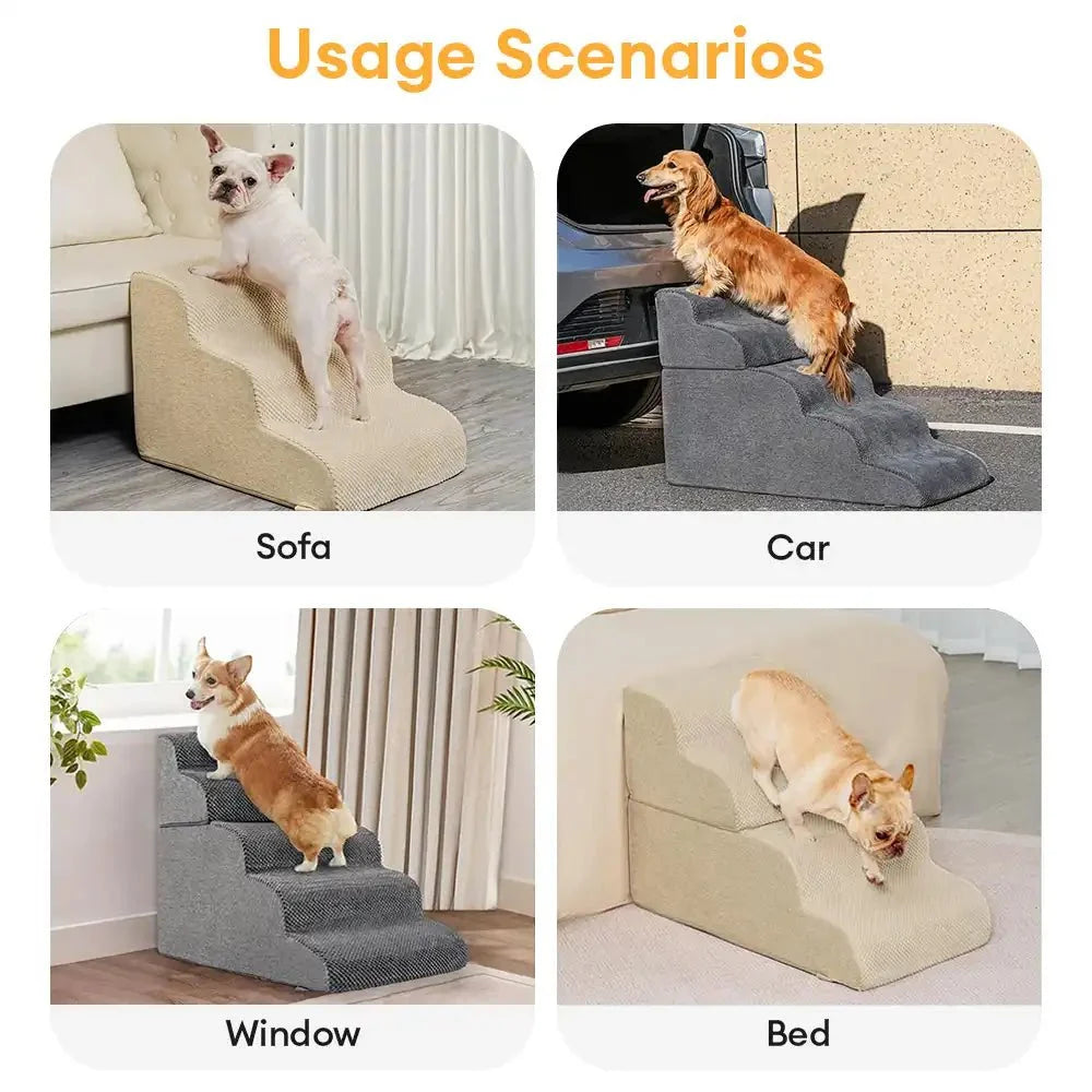 Escalier-rampe en mousse modulaire et empilable pour petits chiens et chiens âgés