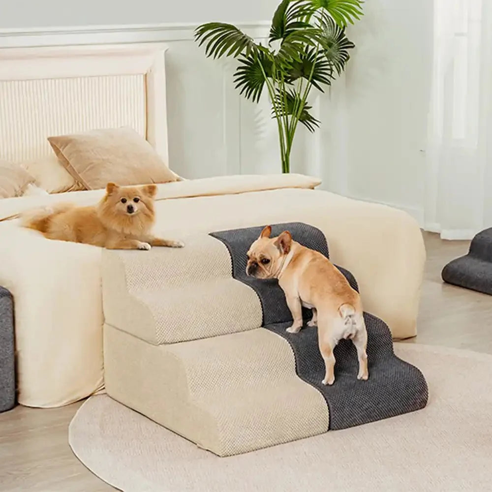 Escalier-rampe en mousse modulaire et empilable pour petits chiens et chiens âgés