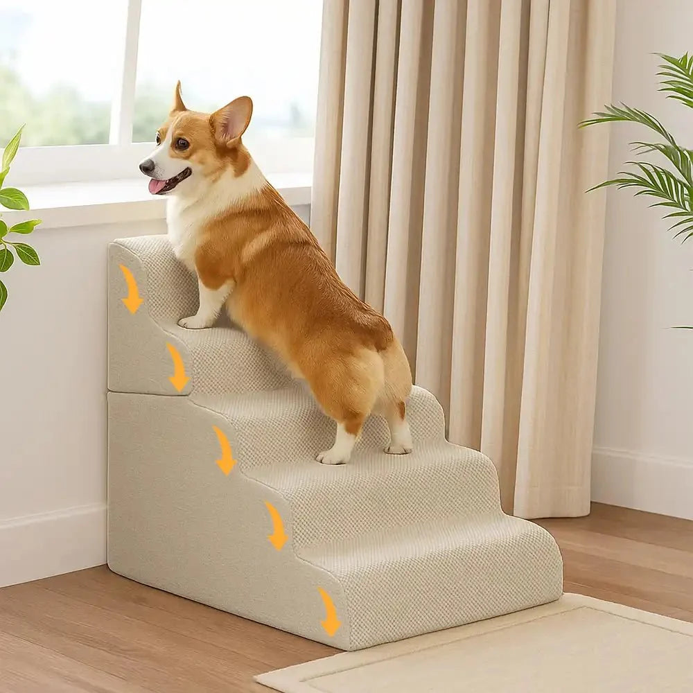 Escalier-rampe en mousse modulaire et empilable pour petits chiens et chiens âgés