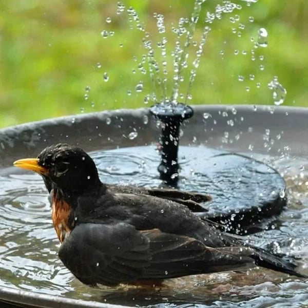 Fontaine solaire