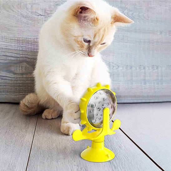 Gamelle anti-glouton pour chat
