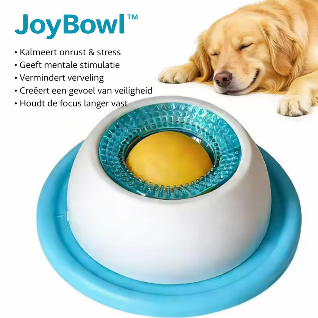Gamelle de nourriture pour animaux de compagnie