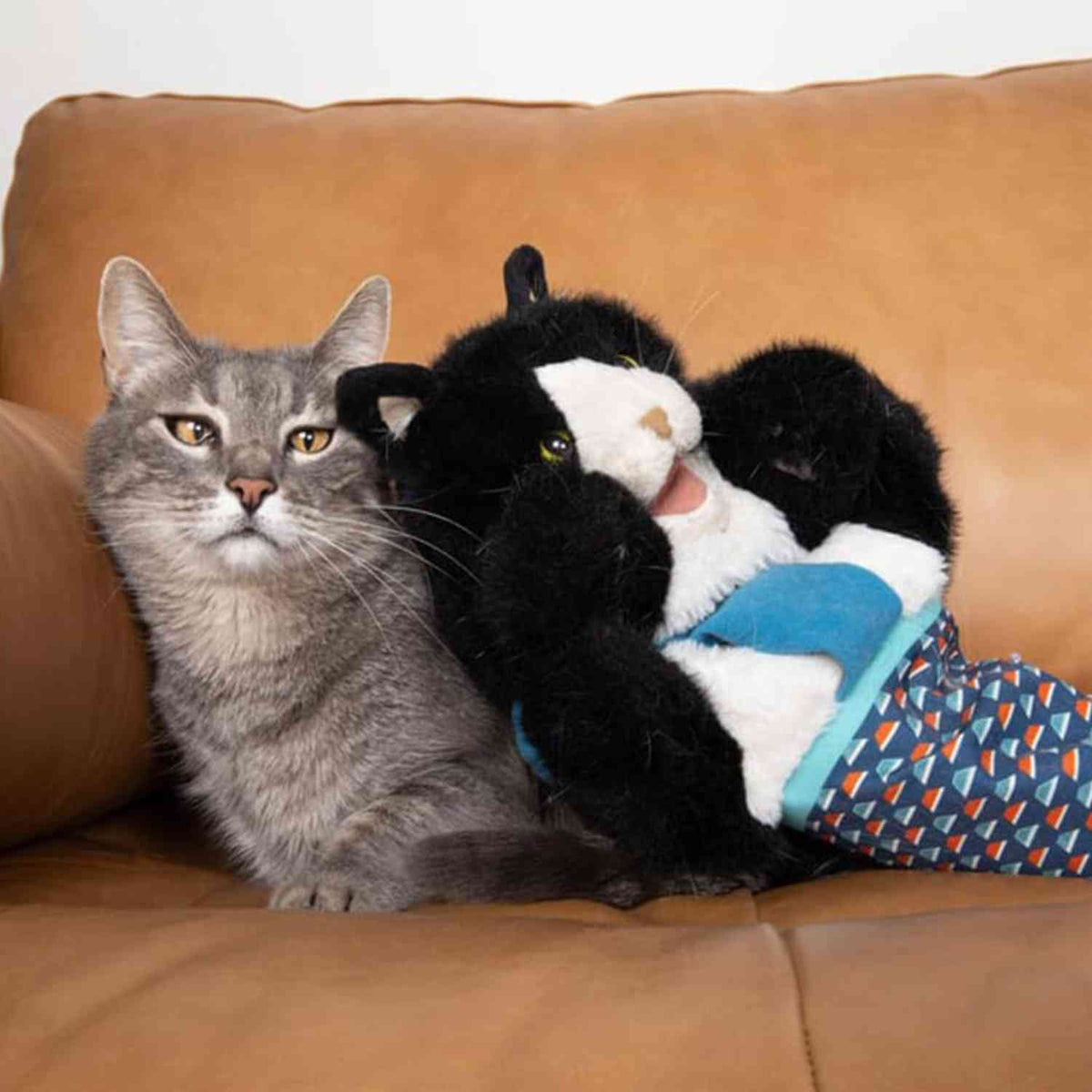 Gant marionnette pour chat | Jeu de marionnette amusant et divertissement actif
