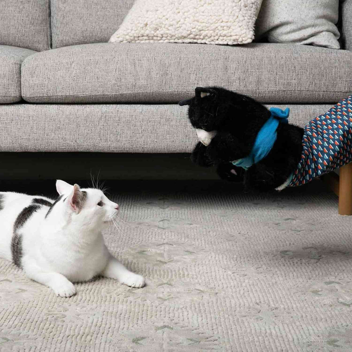 Gant marionnette pour chat | Jeu de marionnette amusant et divertissement actif