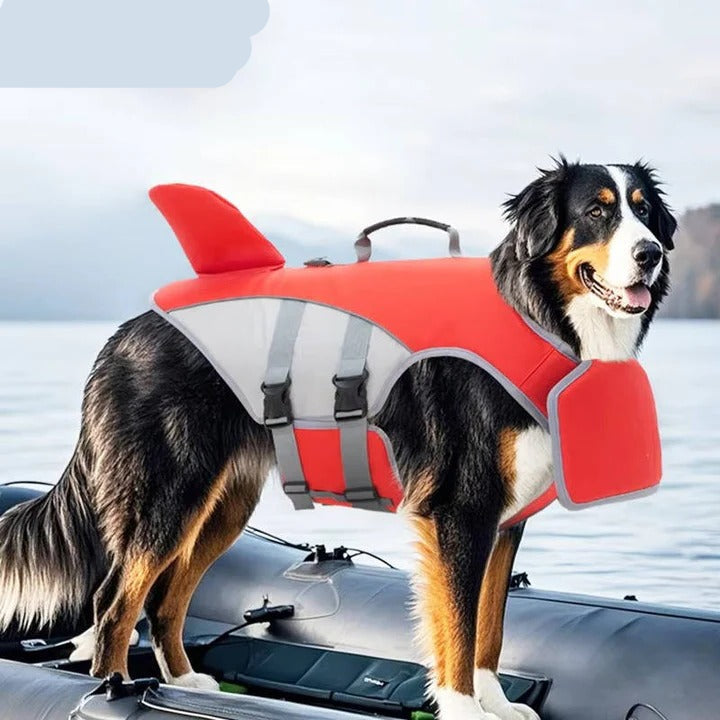 Gilet de sauvetage pour chien avec aide à la flottabilité