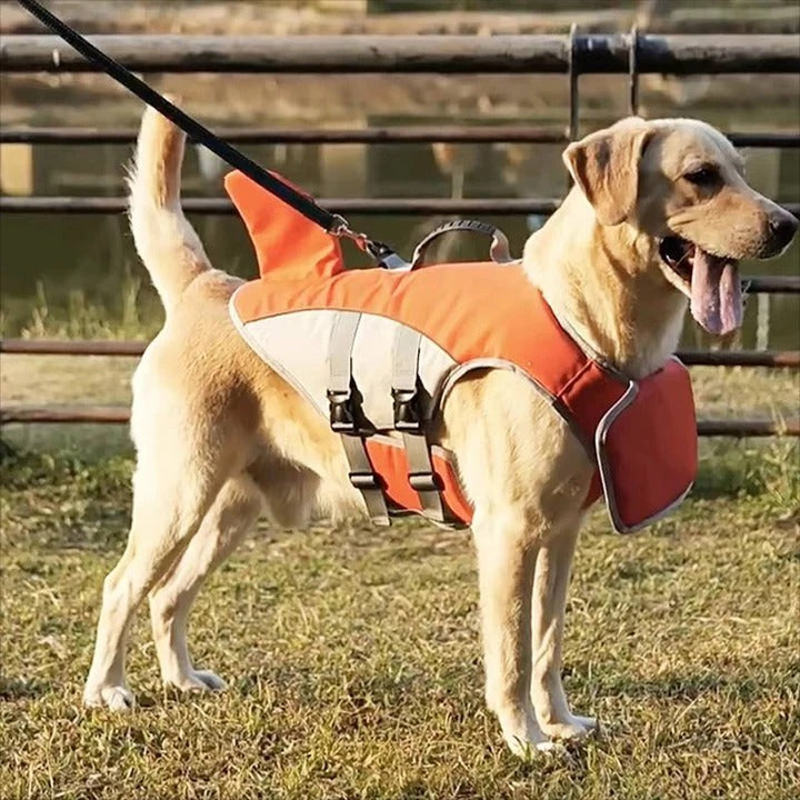 Gilet de sauvetage pour chien avec aide à la flottabilité