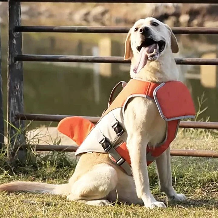 Gilet de sauvetage pour chien avec aide à la flottabilité