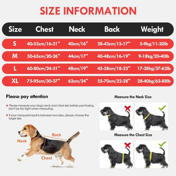 Gilet de sauvetage pour chien avec aide à la flottabilité