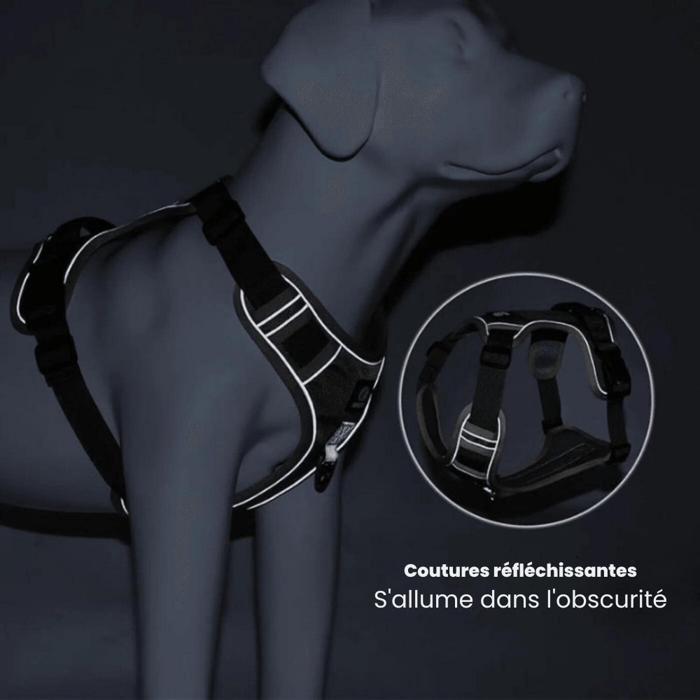 Harnais anti-traction haut de gamme pour chien