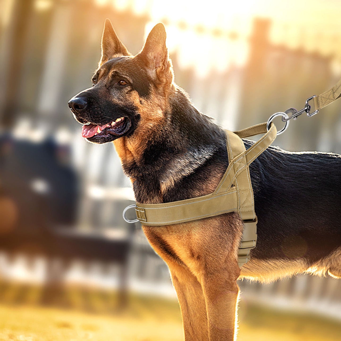 Harnais anti-traction réfléchissant pour chien