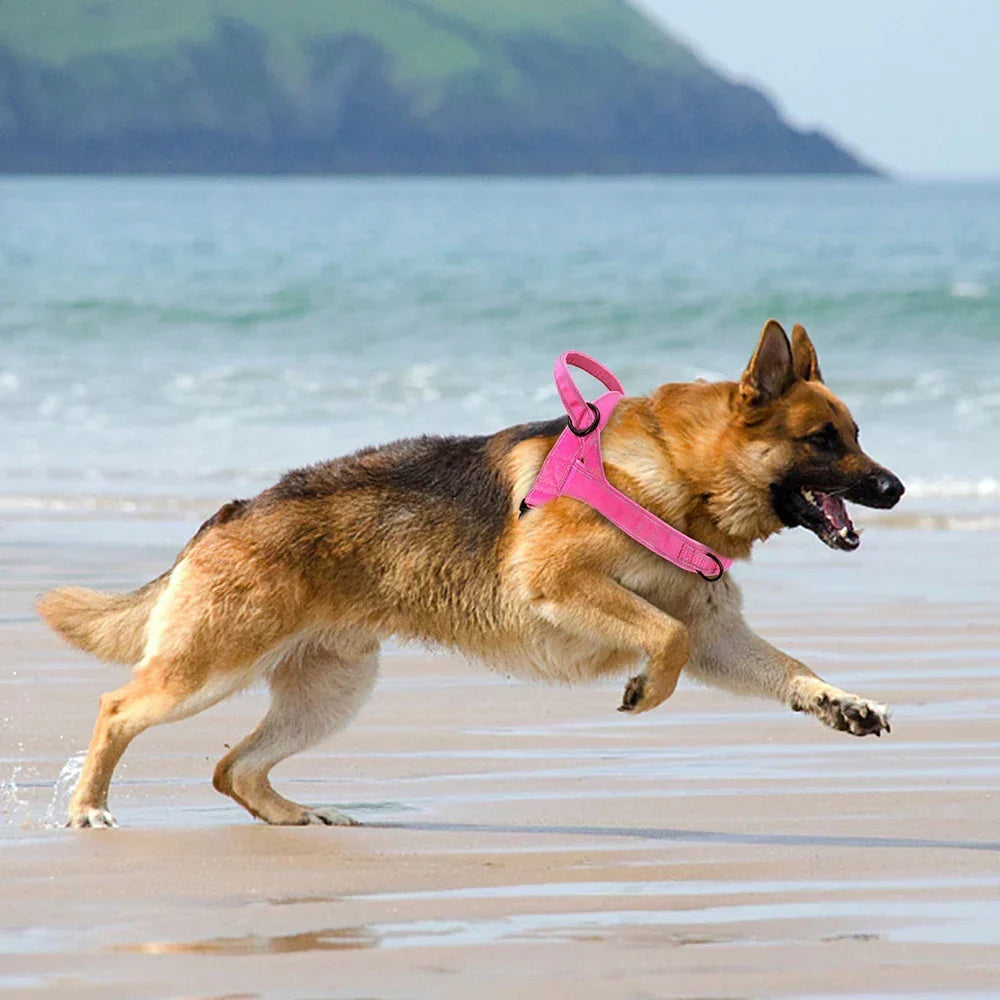 Harnais anti-traction réfléchissant pour chien