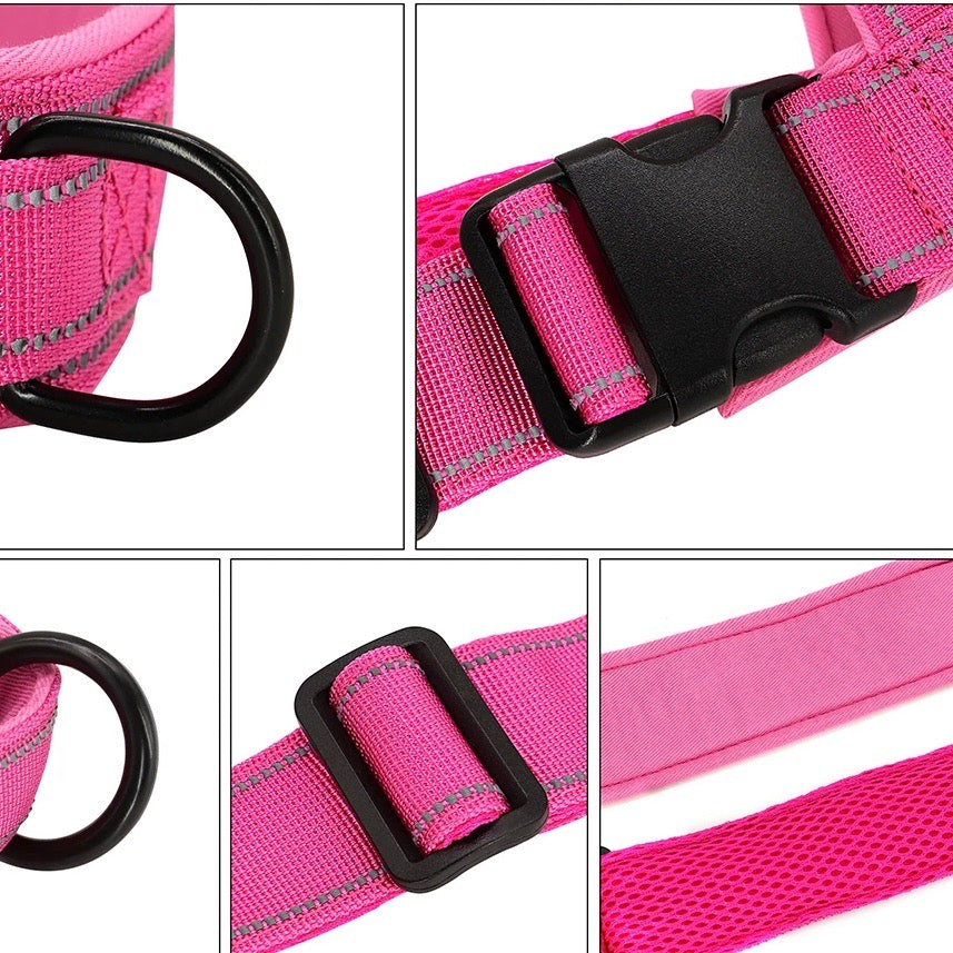 Harnais anti-traction réfléchissant pour chien