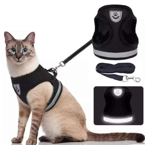 Harnais de chat réglable, respirant et réfléchissant
