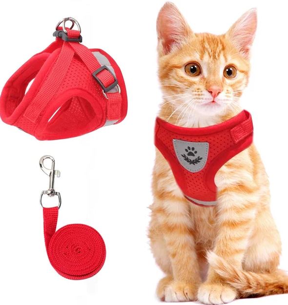 Harnais de chat réglable, respirant et réfléchissant