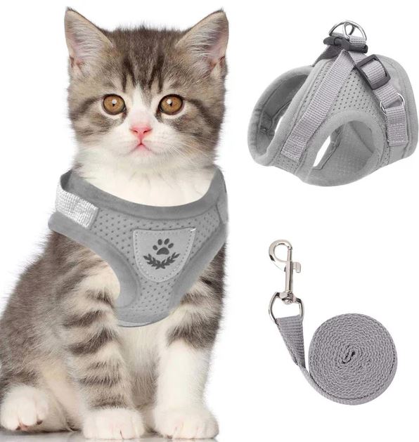 Harnais de chat réglable, respirant et réfléchissant