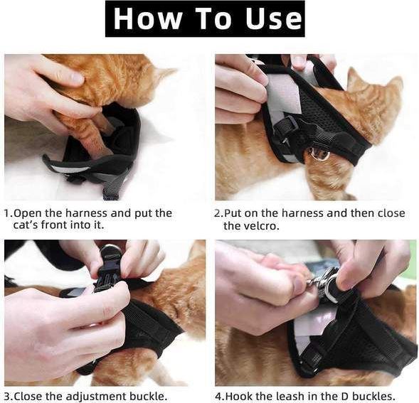 Harnais de chat réglable, respirant et réfléchissant