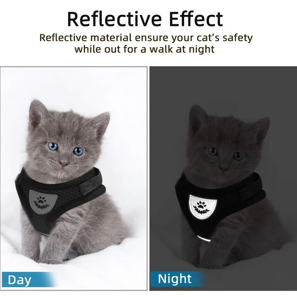 Harnais de chat réglable, respirant et réfléchissant
