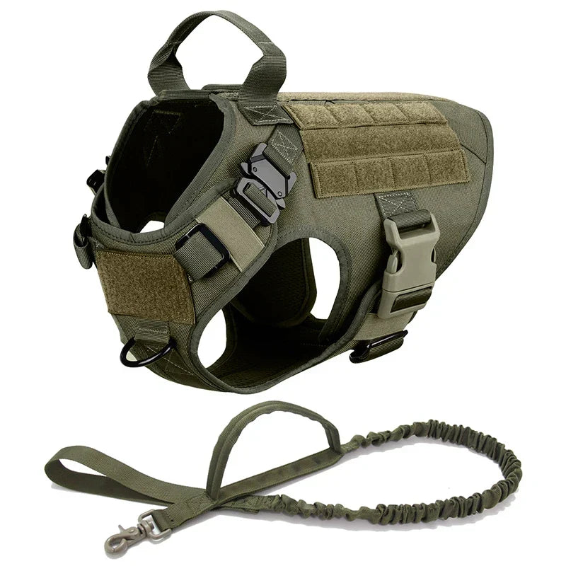 Harnais tactique anti-traction pour chien, entraînement et aventures en plein air