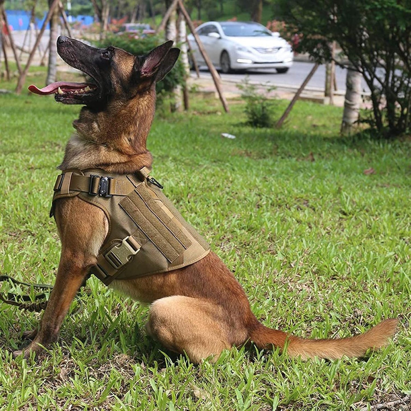 Harnais tactique K9 pour chien